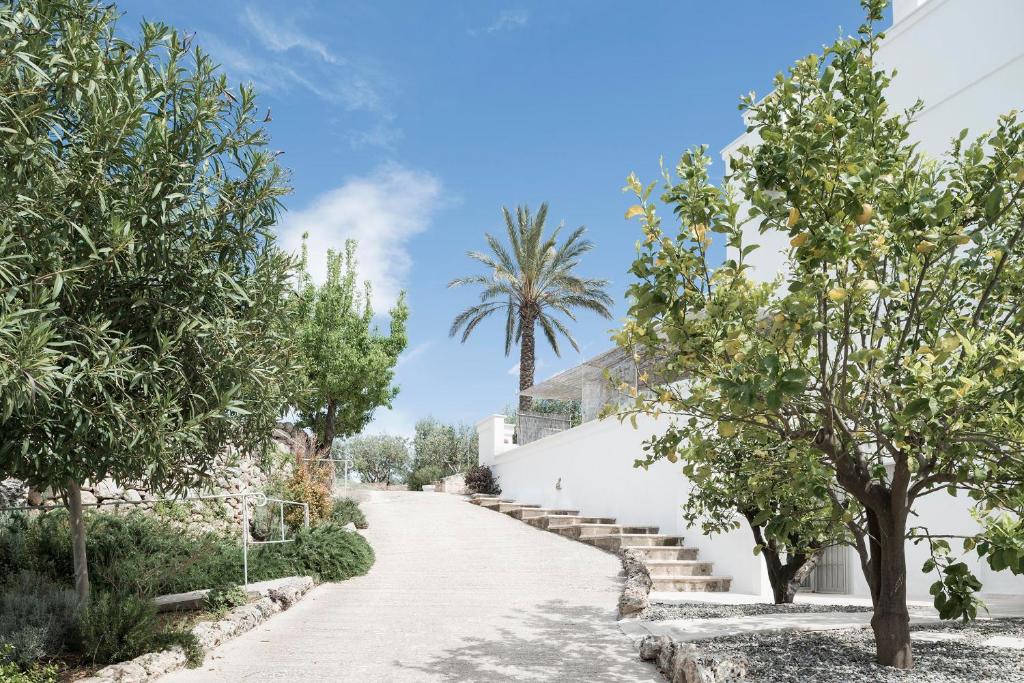 Masseria Alchimia - Italien, Apulien, heiraten mit Wedding Planner Julia Weiß von Illumina Weddings