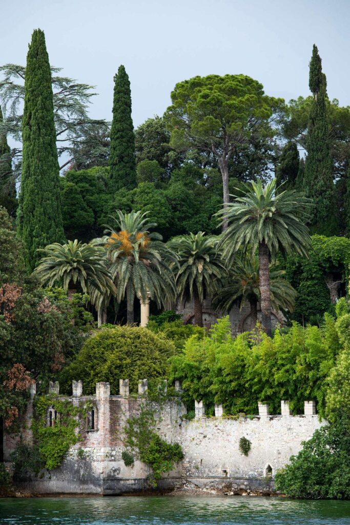 Palmen auf einer Insel mit Hochzeitslocation