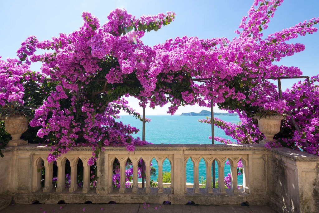 Terrasse Hochzeitslocation am Gardasee